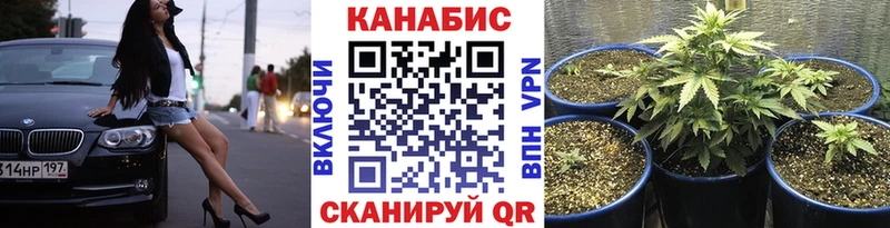 Марихуана Amnesia Кировград